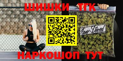 индика Абакан
