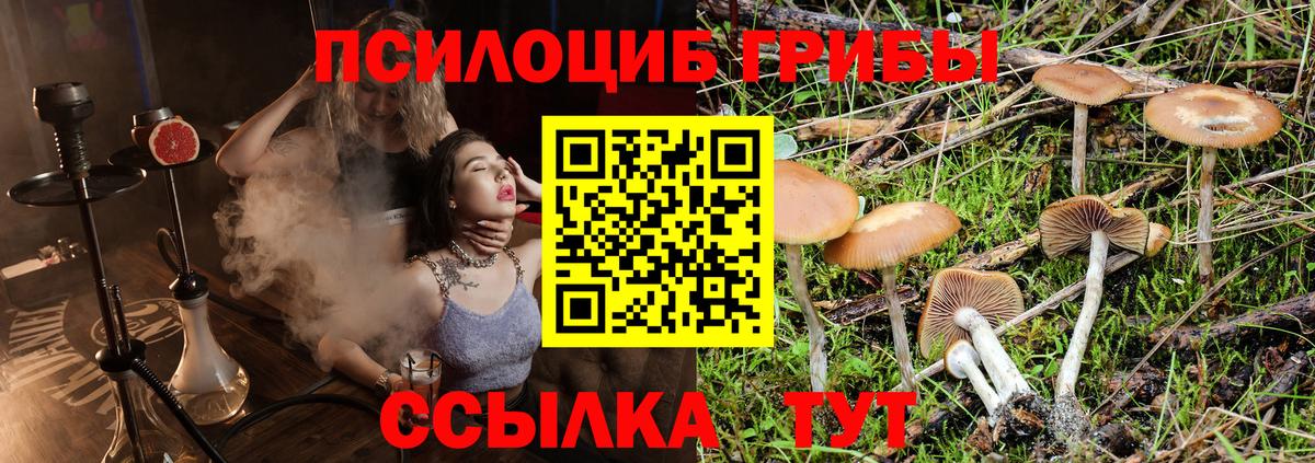 Галлюциногенные грибы мухоморы Альметьевск