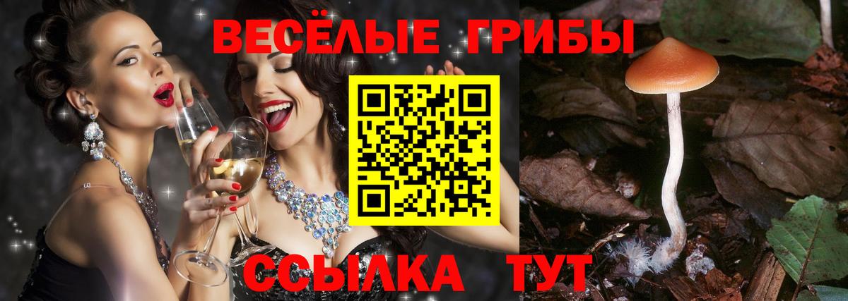 Галлюциногенные грибы Cubensis  Вход с VPN  Псилоцибиновые грибы GOLDEN TEACHER  Альметьевск 